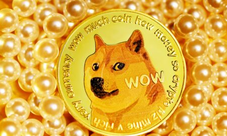 Dogecoin, sursă foto unsplash