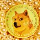 Dogecoin, sursă foto unsplash