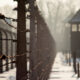 Muzeul Auschwitz, holocaust, sursă foto dreamstime