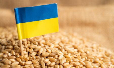 Cerealele ucrainene Sursa foto Stirile ProTV produse ucrainene