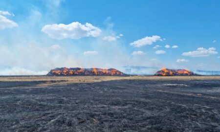 Incendiu Sursa foto Tulcea noastra