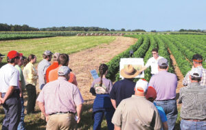 Agricultura Sursa foto Agro BUSINESS