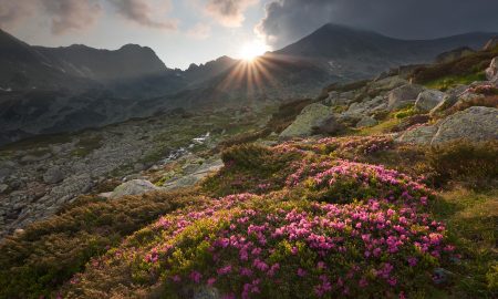 Retezat sursa foto romaniasalbatica.ro