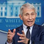 fauci -cnbc.com