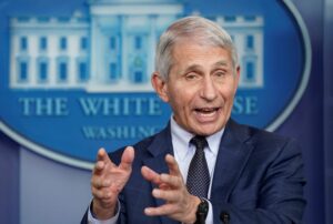 fauci -cnbc.com