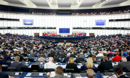 parlamentul european caleaeuropeana.ro