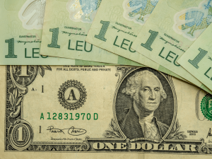 Leu și dolar, Sursă foto: Adevărul