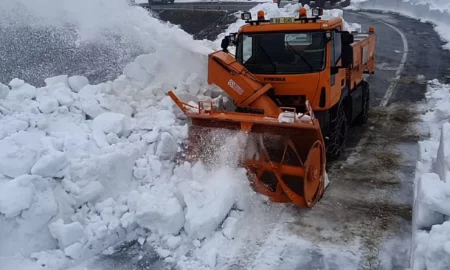 zapada stiridiaspora.ro