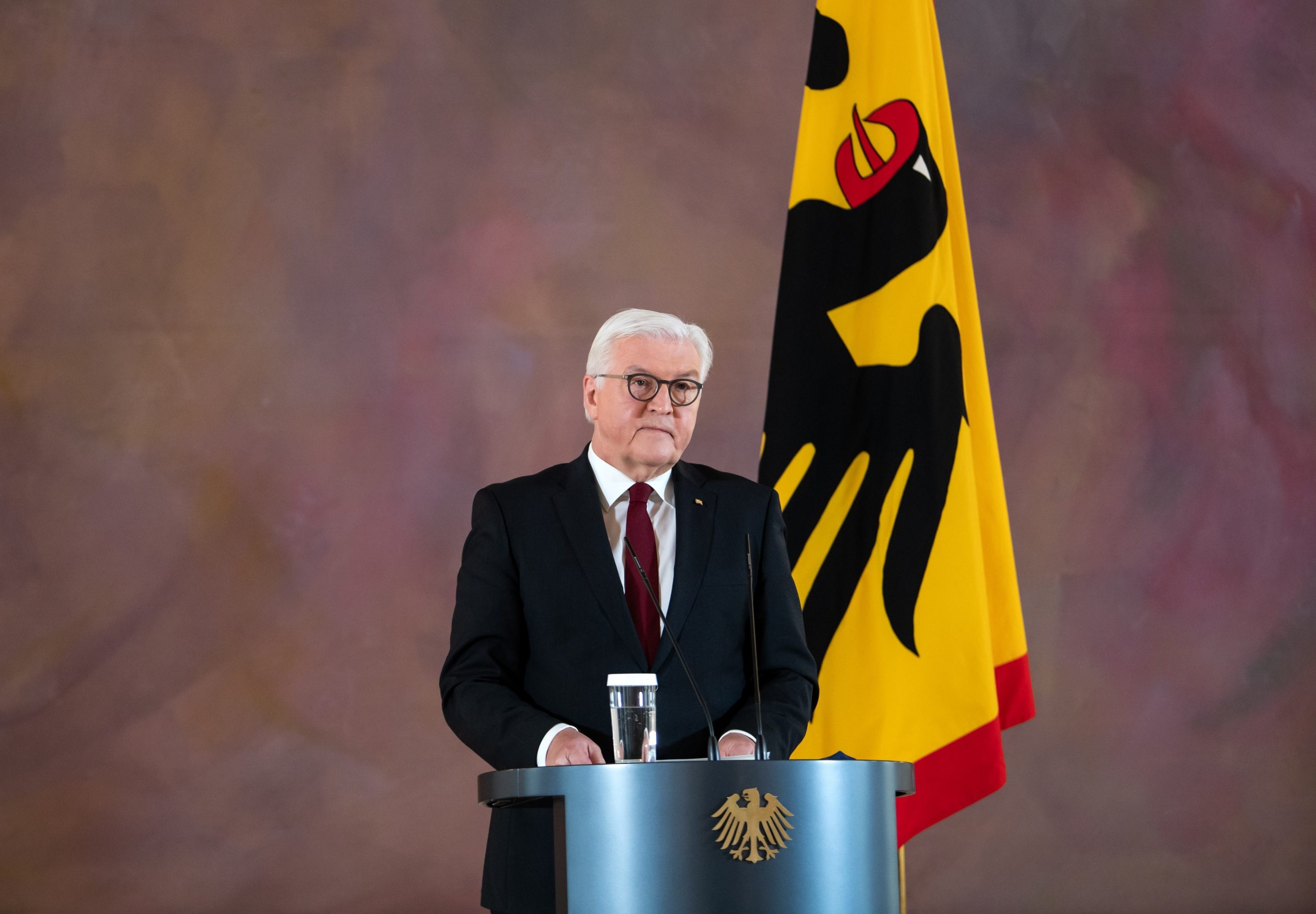 Steinmeier, Sursă foto: Profimedia