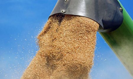 Rusia câștigă războiul mondial al cerealelor