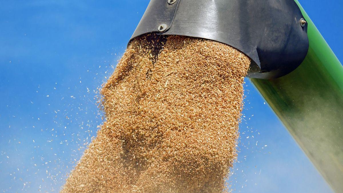 Rusia câștigă războiul mondial al cerealelor