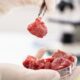 Italia interzice prin lege comercializarea şi consumarea cărnii cultivate în laborator