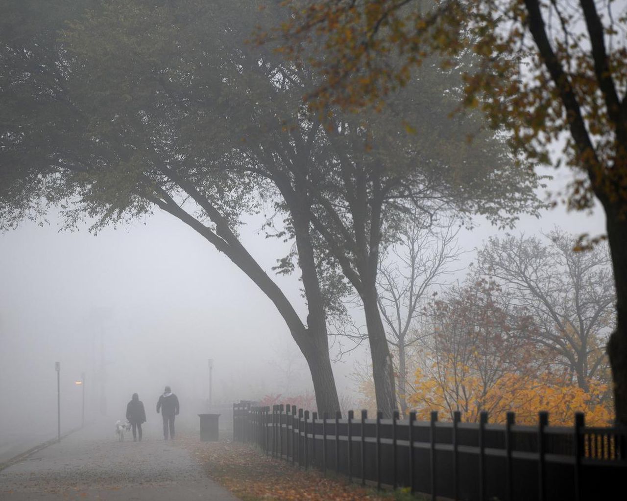 Vreme caldă la final de an! Prognoza meteo pentru 22 decembrie