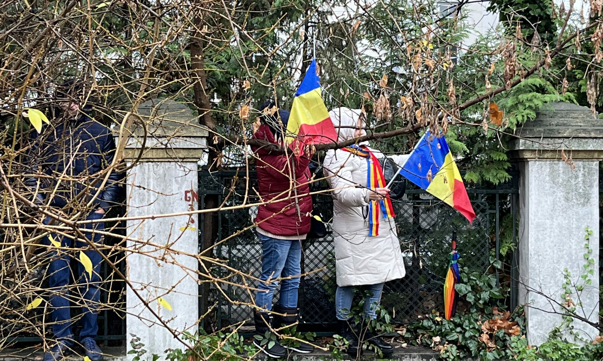 sus pe gard (sursă foto: arhivă personală / Adrian Lambru)