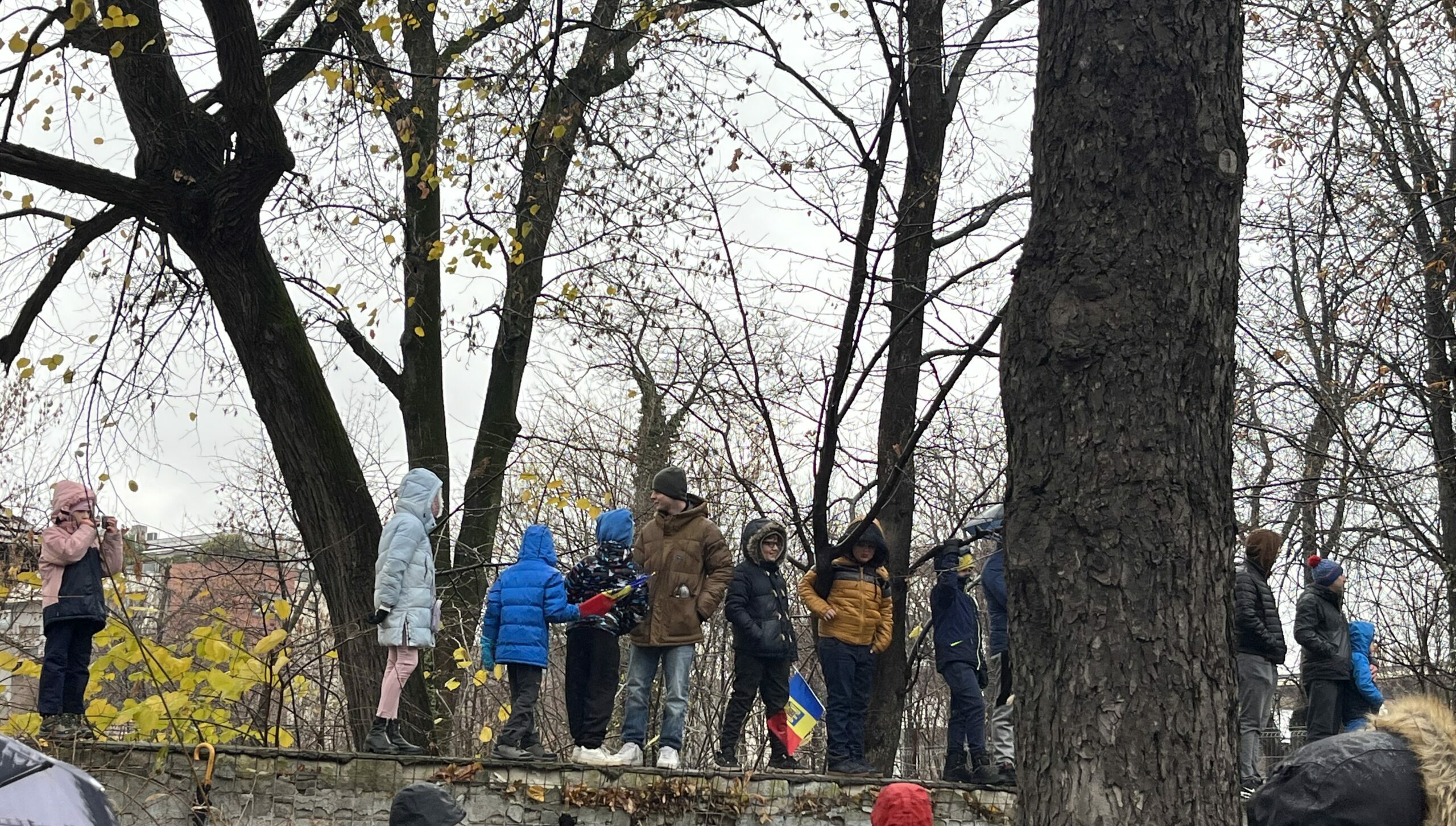 „Oare mă vede Iohannis de aici?” (sursă foto: arhivă personală / Adrian Lambru)