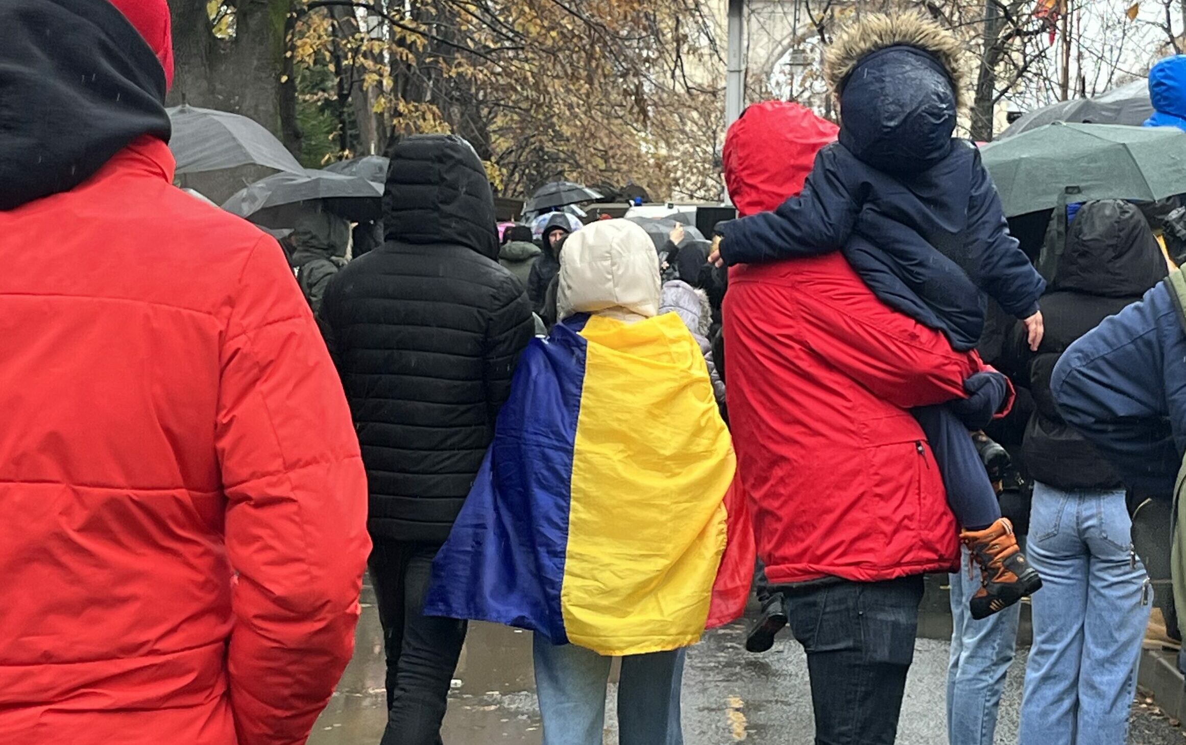 tricolorul cald (sursă foto: arhivă personală / Adrian Lambru)