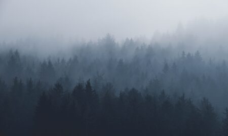 Ceață, Sursă foto: unsplash