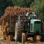 Fermier, Sursa foto Stirile ProTV