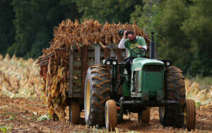 Fermier, Sursa foto Stirile ProTV