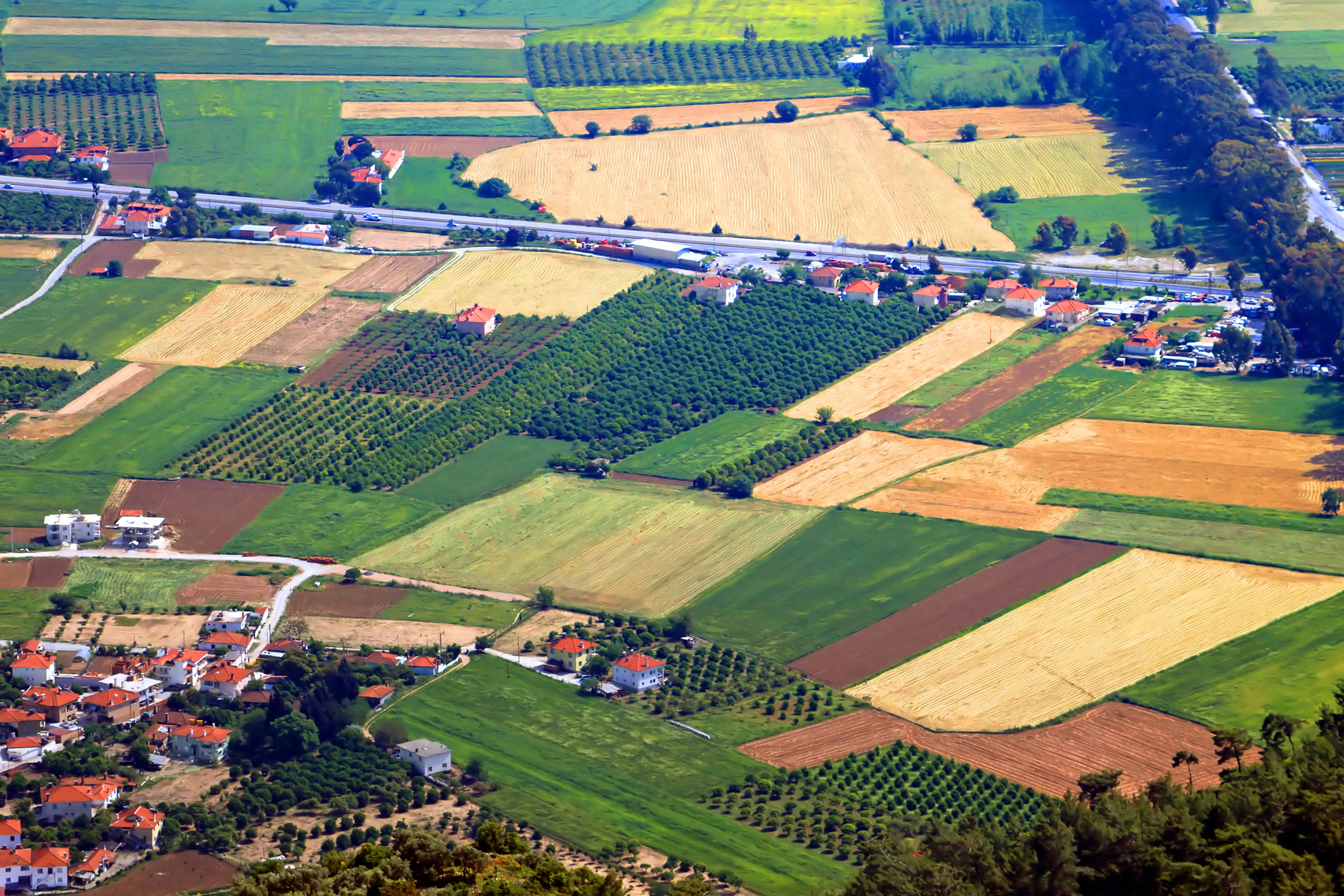 Vedere aeriană asupra câmpurilor agricole din Turcia (sursă foto: dreamstime)