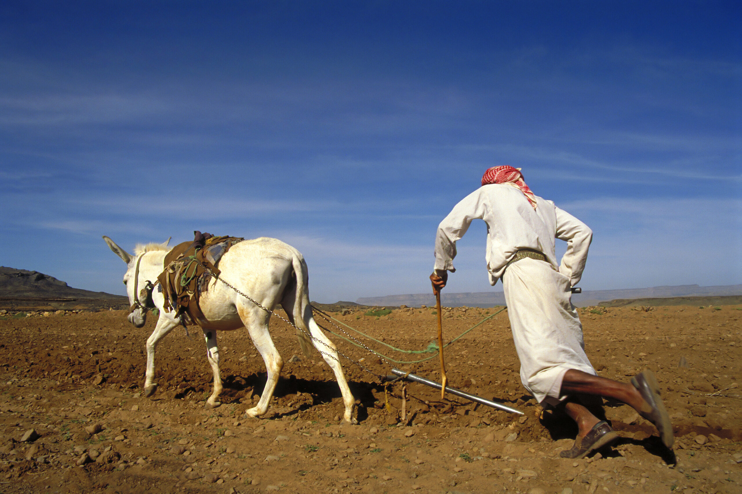 Agricultura din Yemen (sursă foto: dreamstime)