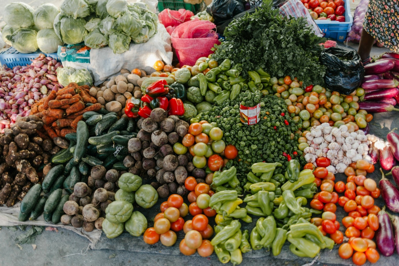 Legume românești