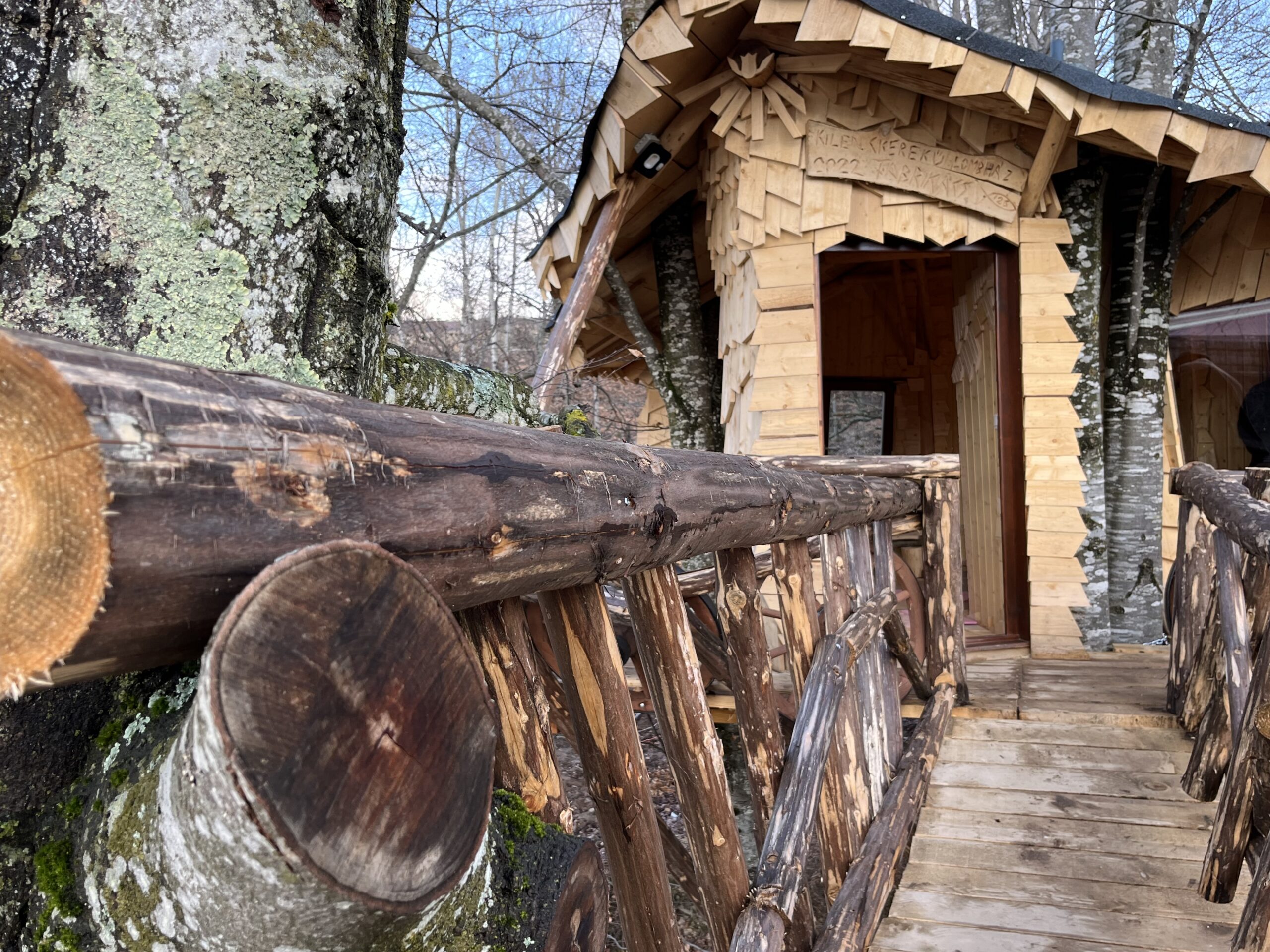 Căsuța din lemn, dotată cu utilitățile necesare, va primi turiști chiar din această vară (sursă foto: Infofinanciar / Adrian Lambru)