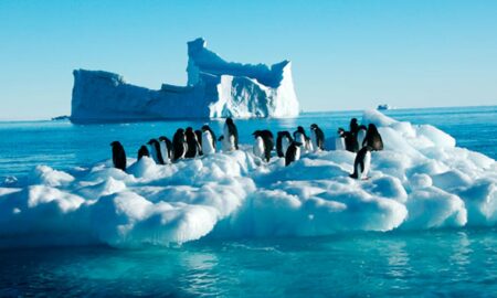 antartica sursa foto ziarmm