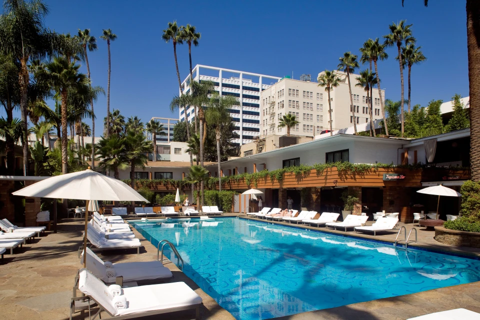 Piscina de la Hollywood Roosevelt Hotel din Los Angeles, sursă foto The Sun