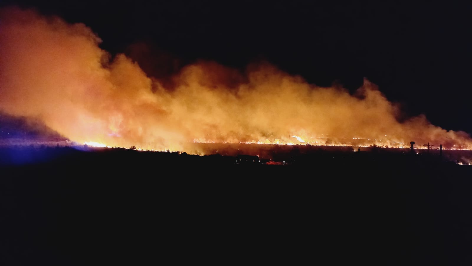 incendiu de vegetație Constanta Penitenciarul Poarta Alba Sursă foto focuspress.ro