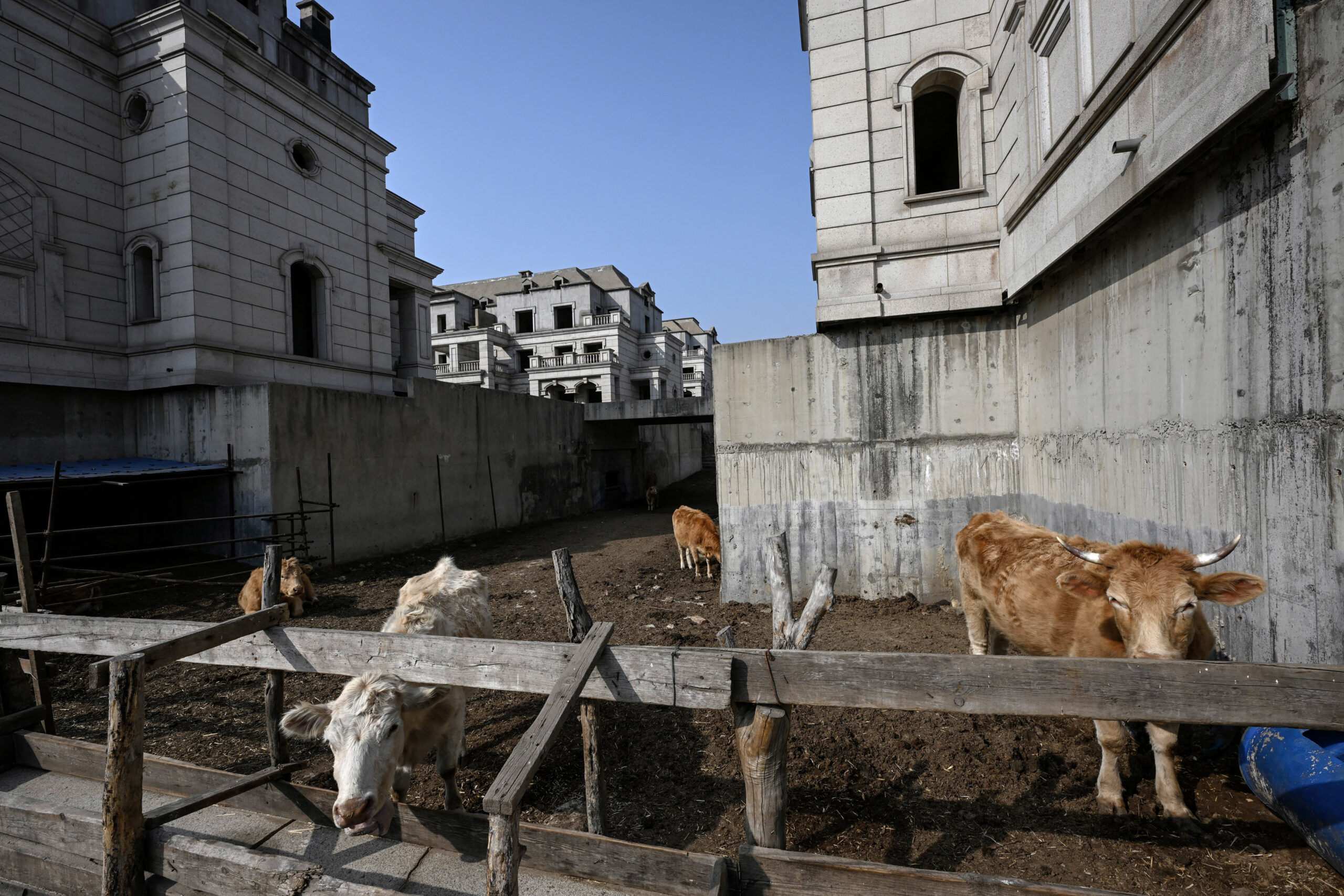 oraș abandonat China