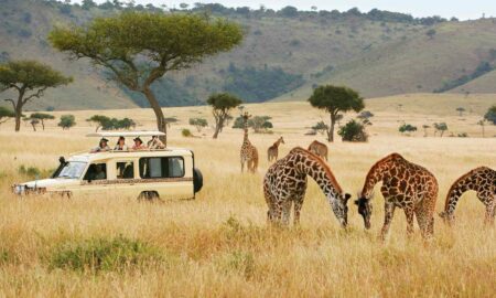 safari sursa foto travelcn