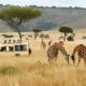 safari sursa foto travelcn