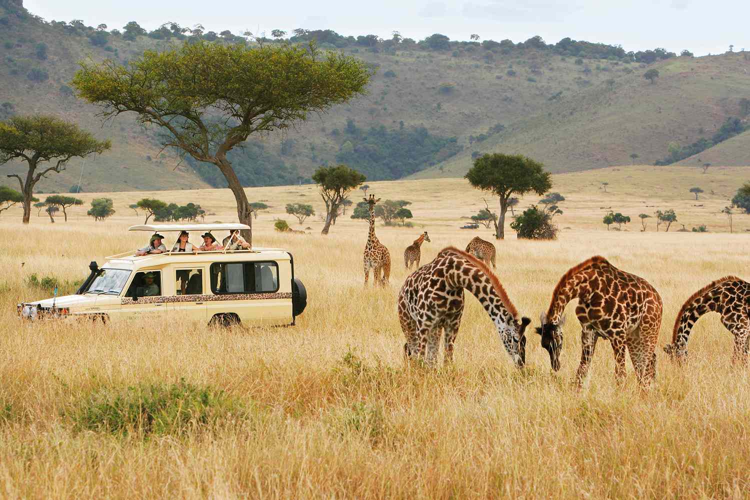 safari sursa foto travelcn