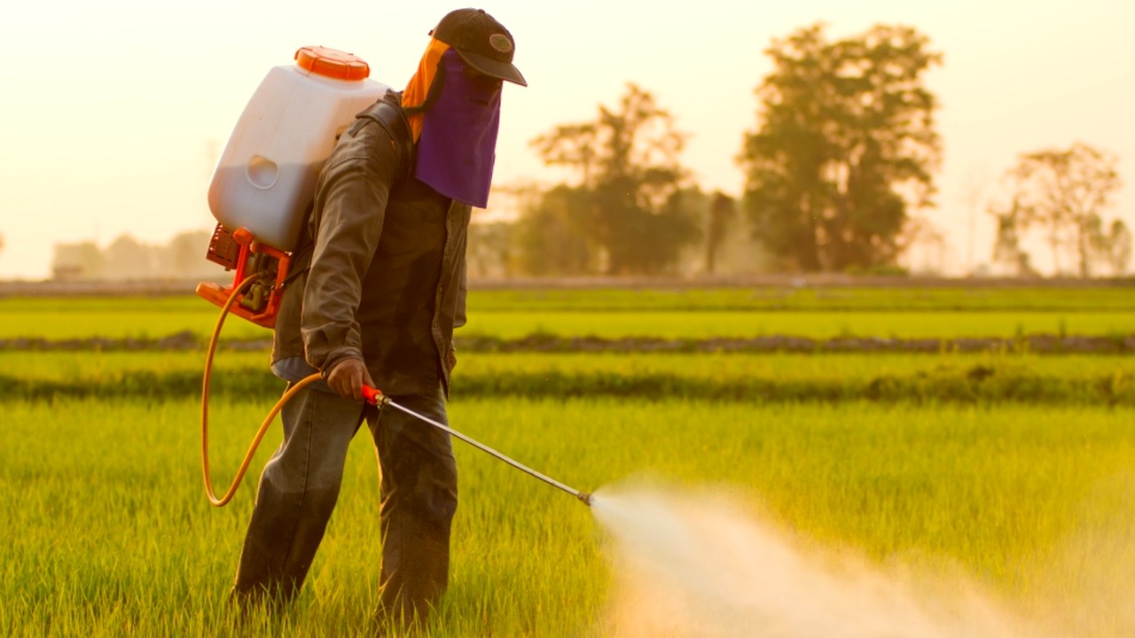 Ministerul Agriculturii aprobă pesticidele neonicotinoide, interzise la nivelul UE