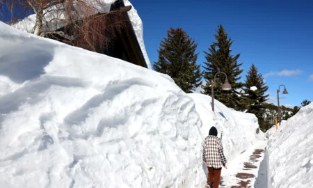 Sierra Nevada zăpadă schimbări climatice Sursă foto Sceintific American