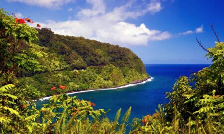 Plajele tropicale din Maui, distruse de incendii. Turismul, un pilon economic