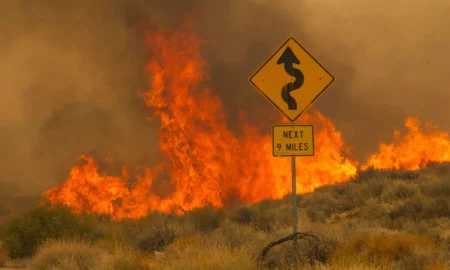 SUA se confruntă cu „tornade de foc”