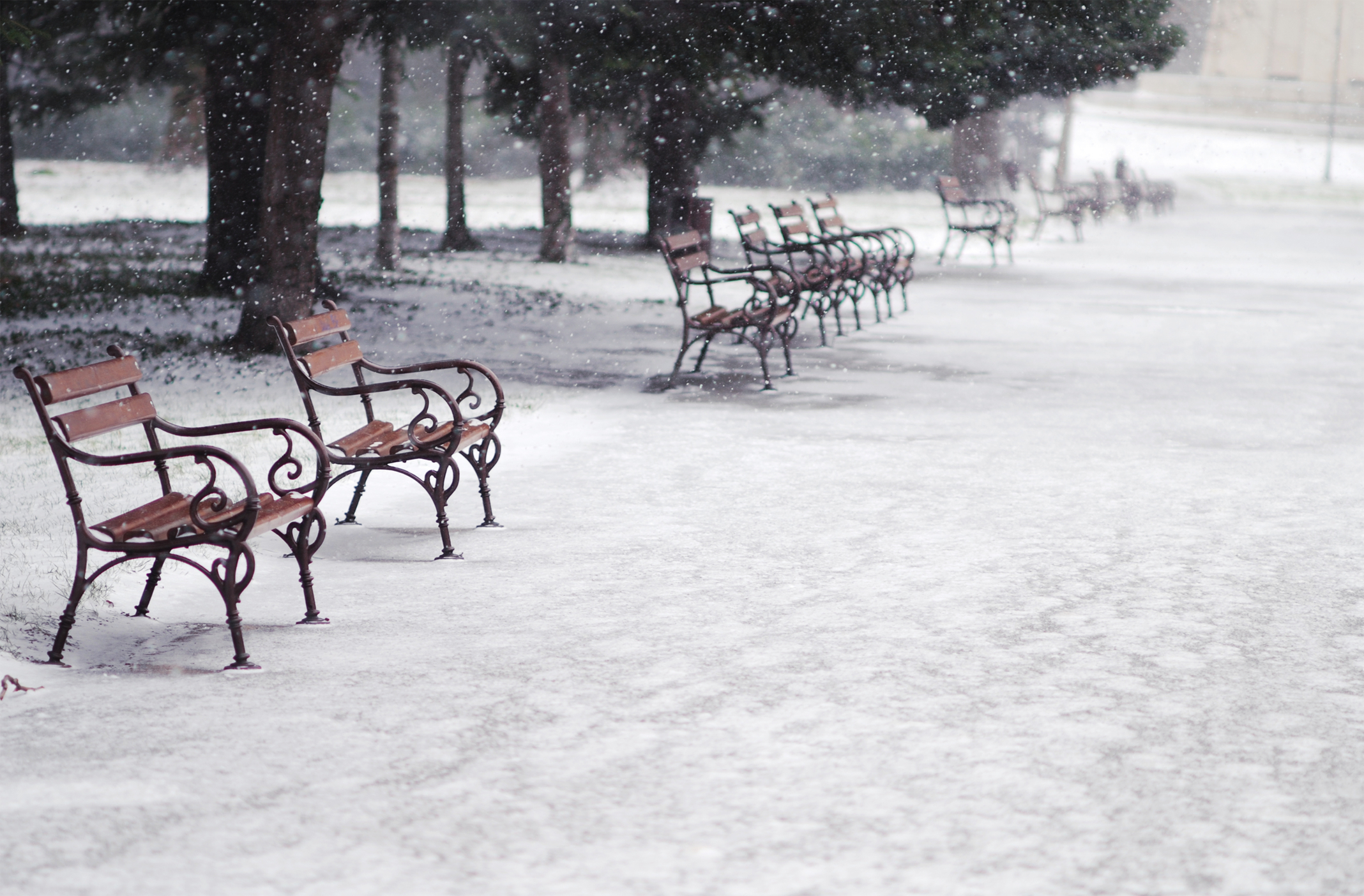 zapada (sursă foto: dreamstime)