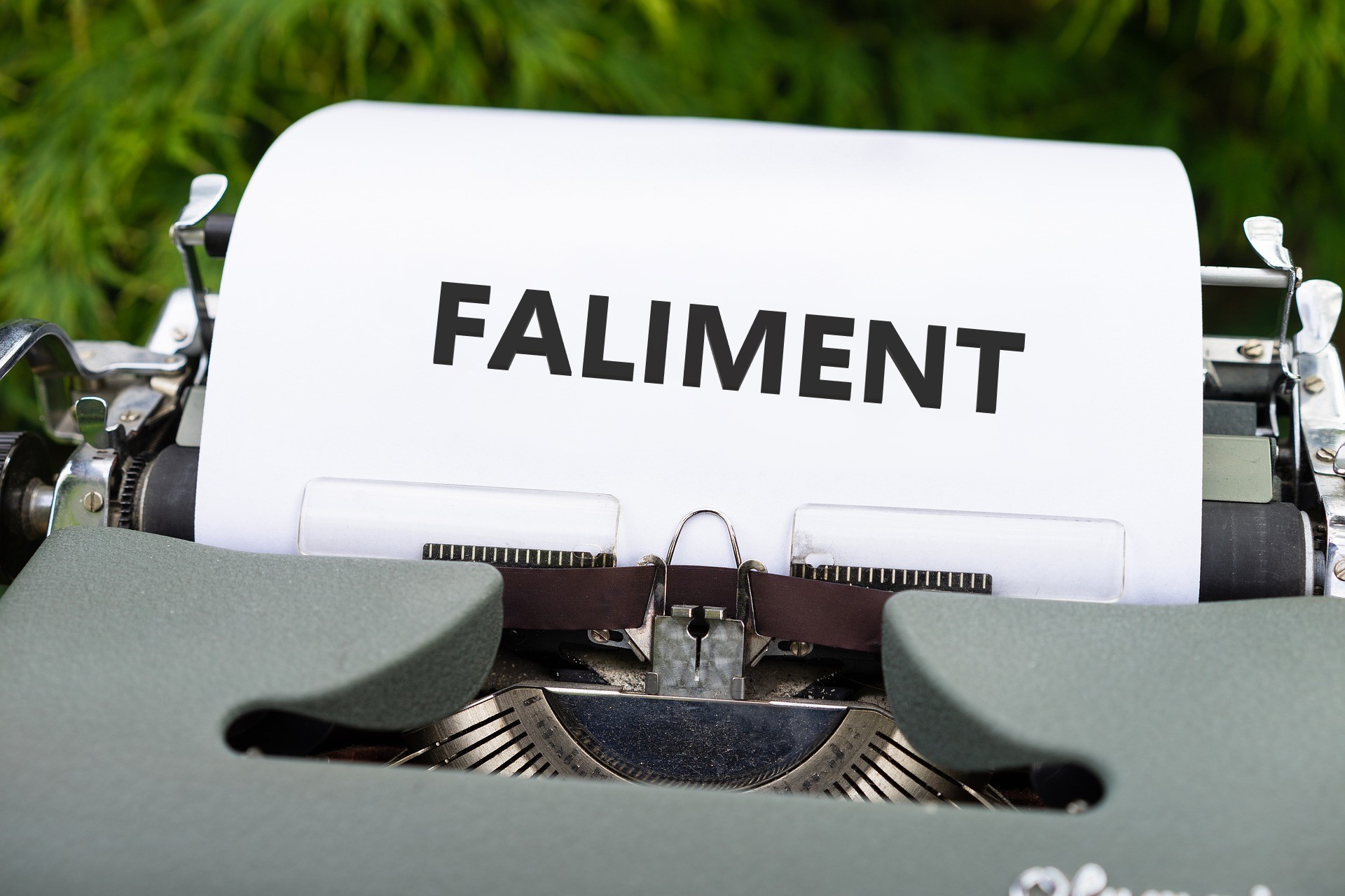 faliment (sursă foto: dreamstime)