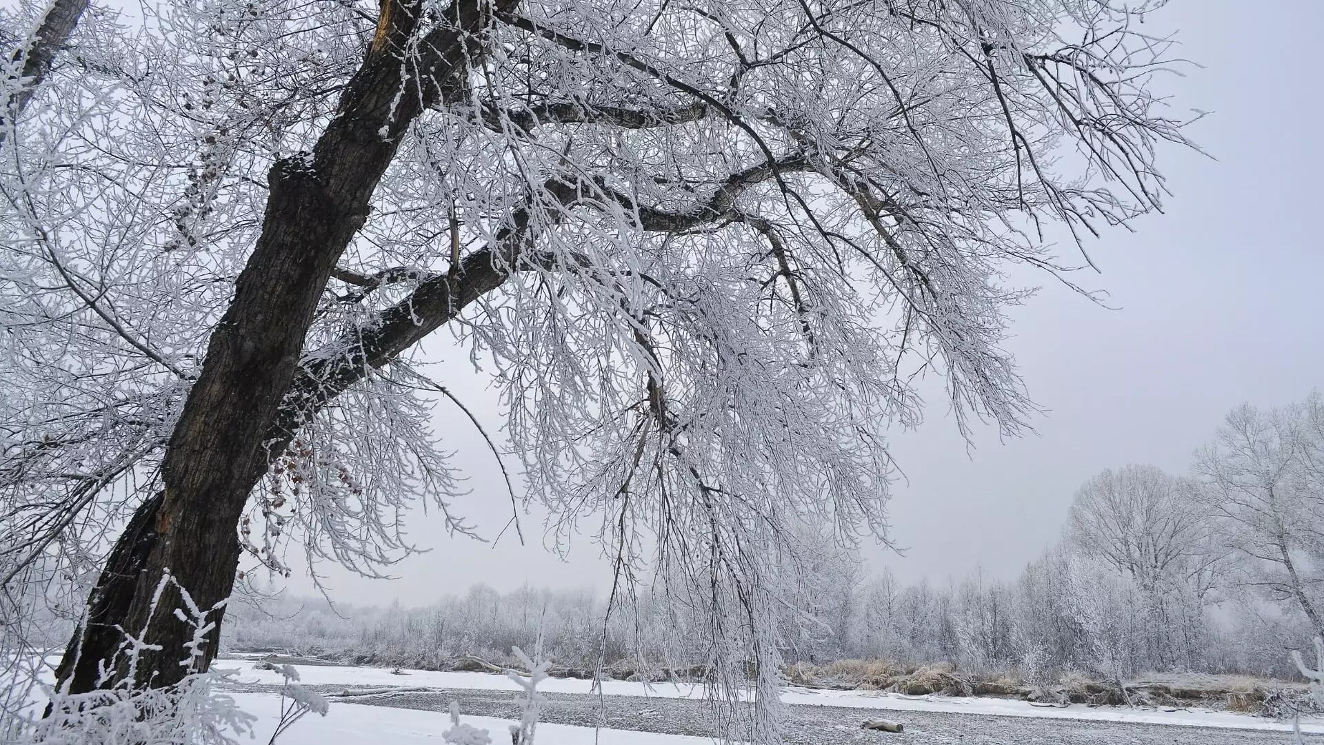 ninsoare (sursă foto: dreamstime)