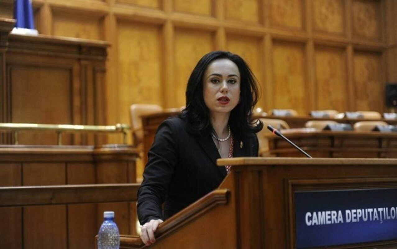 pensie simona bucura oprescu (sursă foto: economedia.ro) Strategia Națională pentru Economie Socială