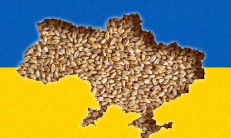cereale ucraina (sursă foto: capital.ro)