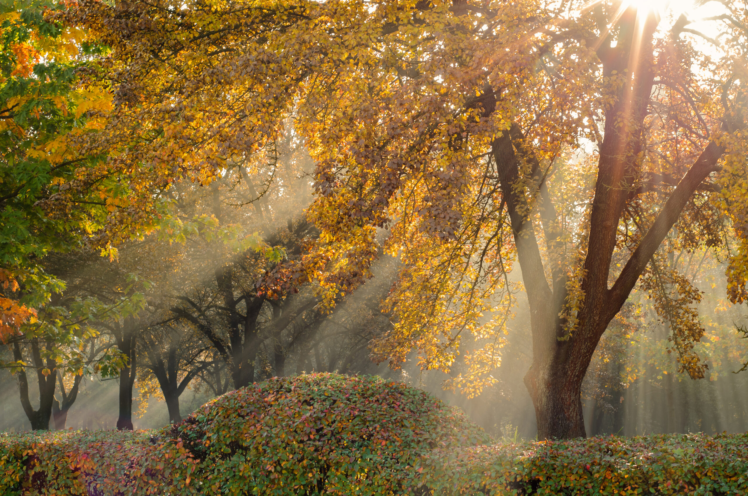 vremea (sursă foto: dreamstime)