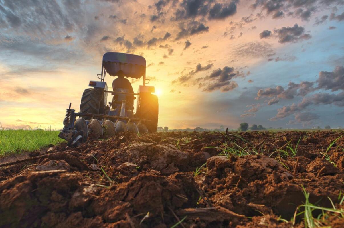 agricultori apia (sursă foto: observatornews.ro)