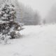 zăpadă sălaj (sursă foto: Agerpres)