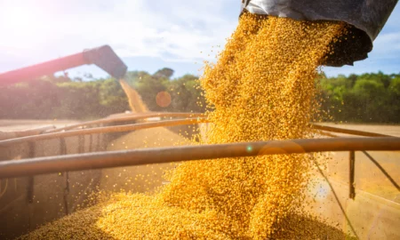 agricultură (sursă foto: fastmarkets.com)