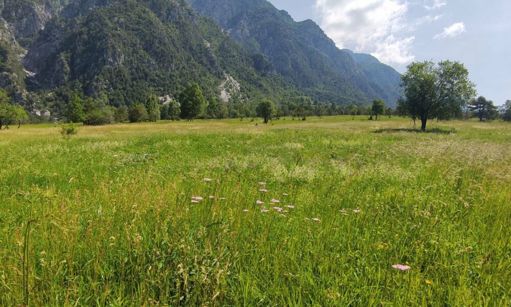 Evadează în Natură: Descoperă Cel Mai Curat Aer din România