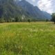 Legea restaurării naturii vine cu noi impuneri. Fermierii români sunt îngrijorați de normele europene