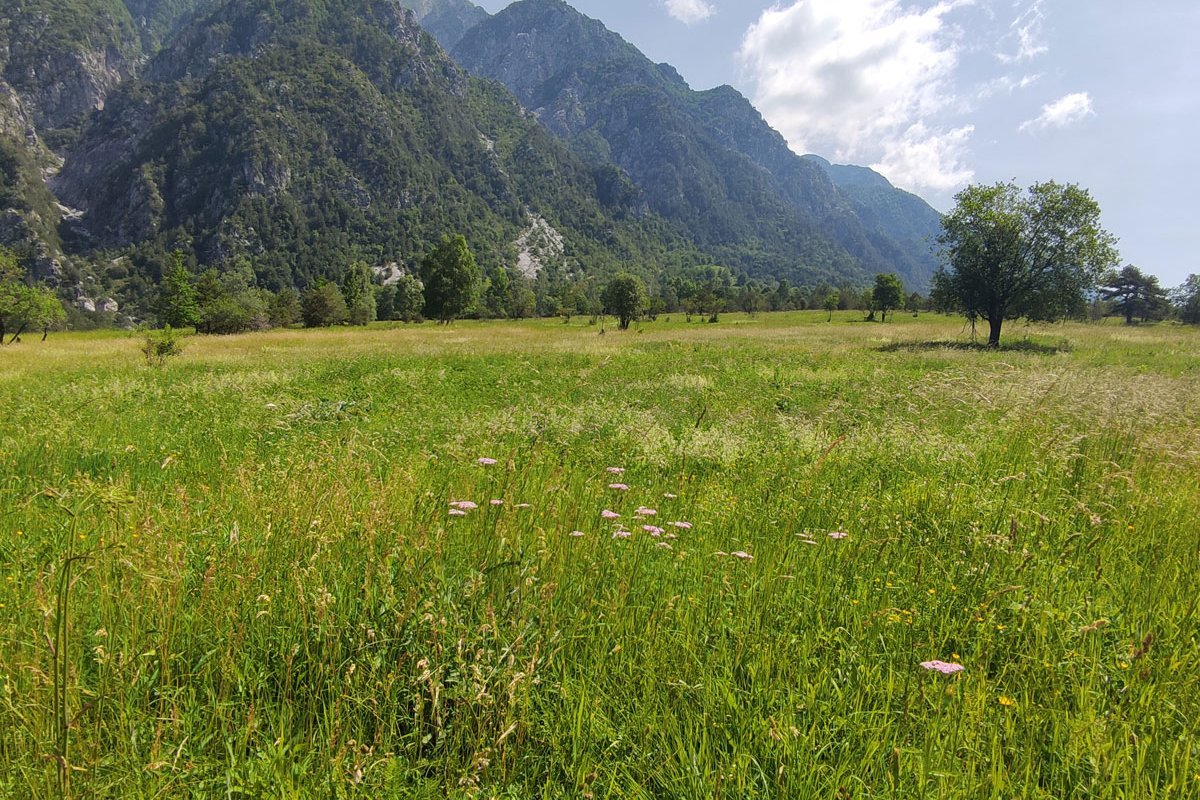 Legea restaurării naturii vine cu noi impuneri. Fermierii români sunt îngrijorați de normele europene